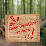 coupe forestière